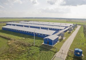 Стоимость свинокомплекса из ЛСТК