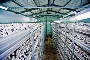 view_1359899923img_0824